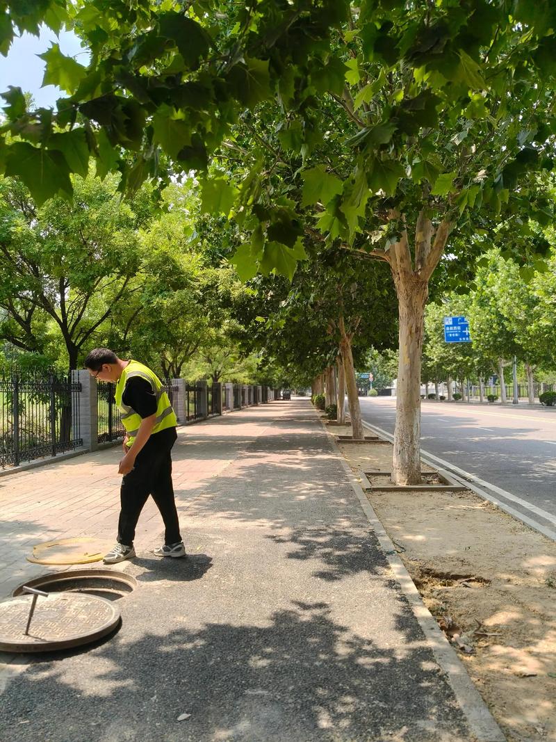 地理信息系统:解锁空间数据的价值